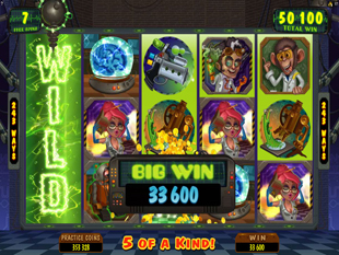 Dr Watts Up Big Win