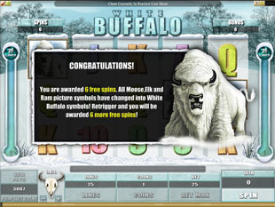 White Buffalo Bonus Game